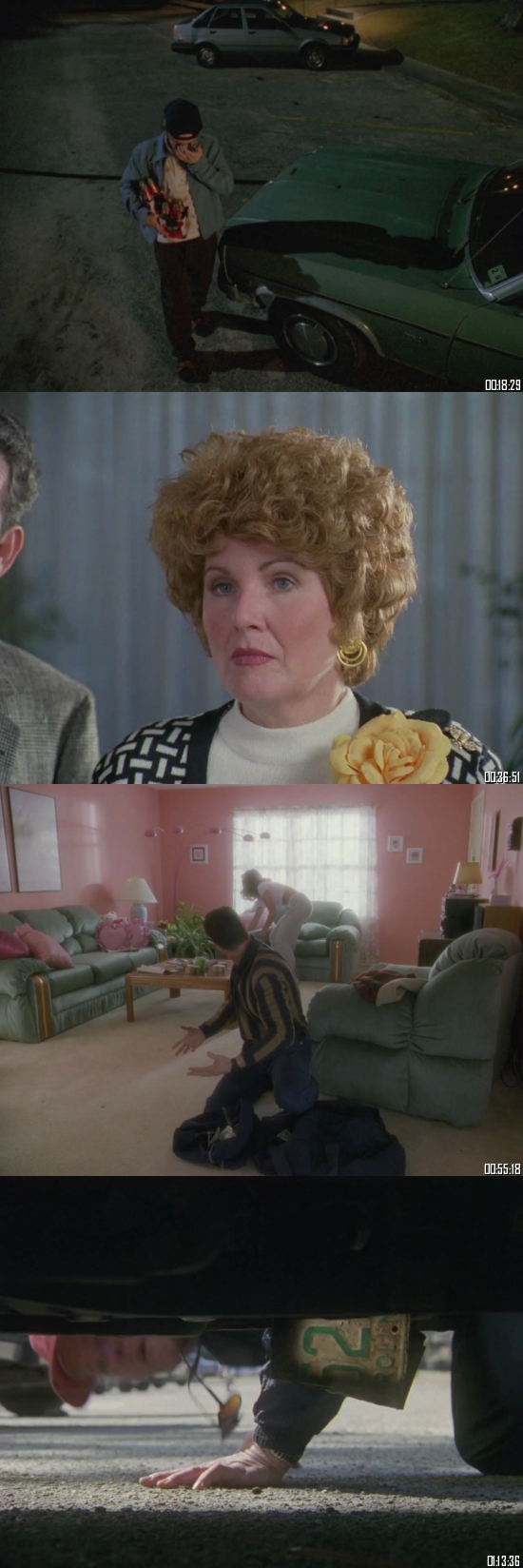 The Almost Perfect Bank Robbery 1999 WEB-DL 720p 480p Dual Audio Hindi English Full Movie Download