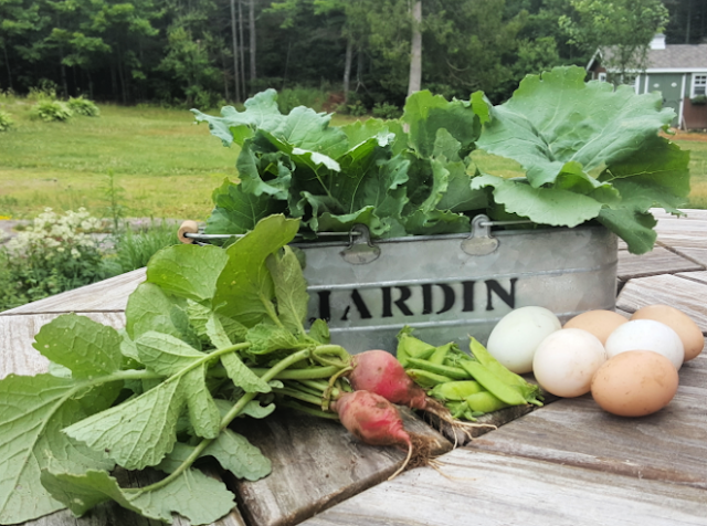 garden vegetables and eggs