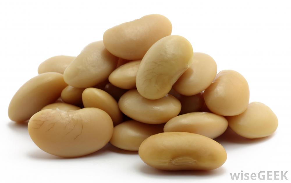 magic bean weight loss magic bean weight loss