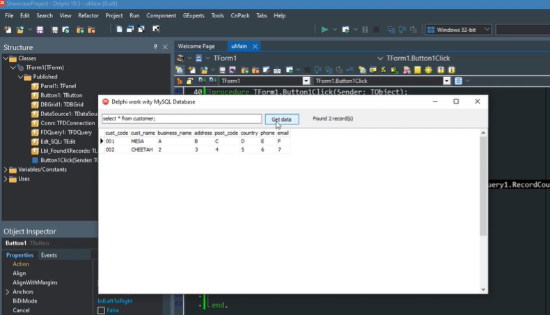 Delphi basic query with FDQuery