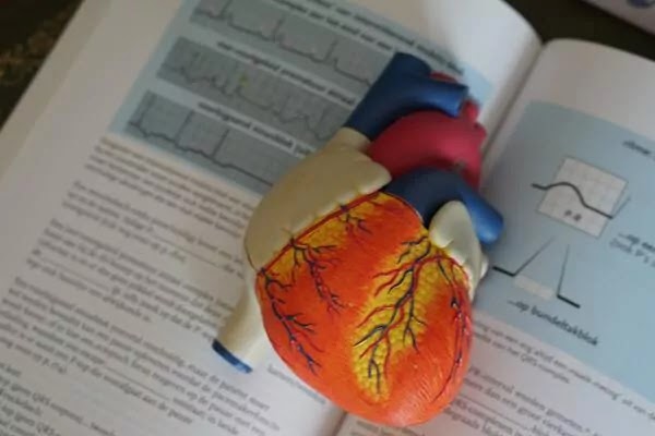 Top 10 Tips For Better Heart Health