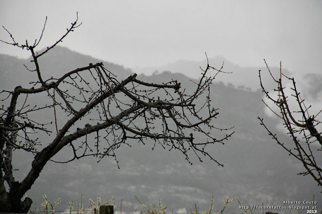 Serra da Estrela in Covilhã-http://fotosefactos.blogspot.com