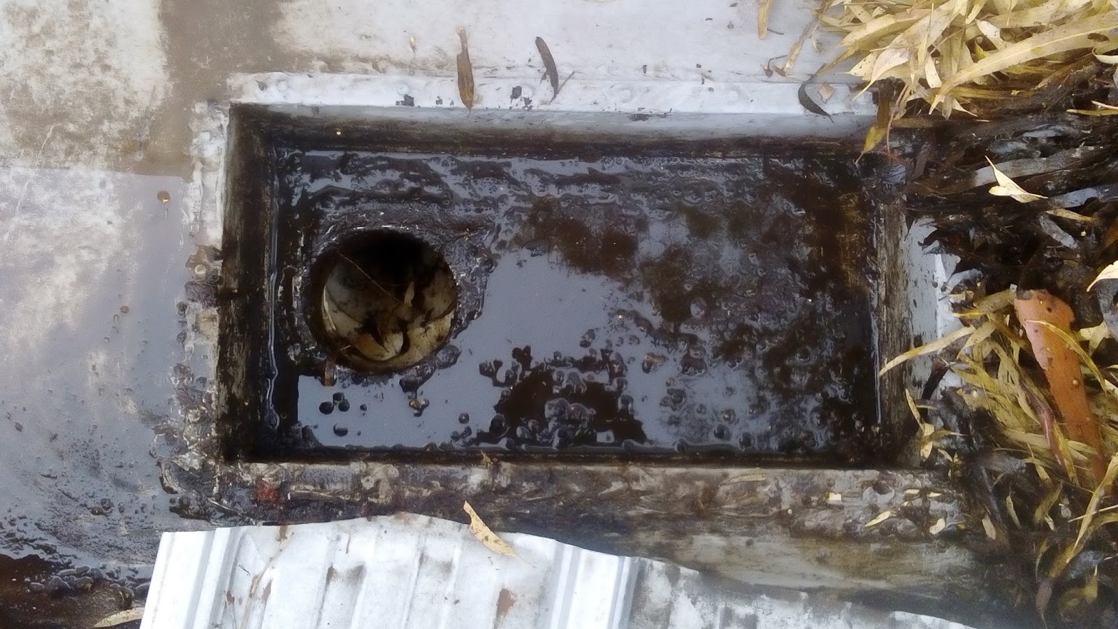 Gutter Cleaning in Adelaide Gutter Guys Adelaide How To Clear