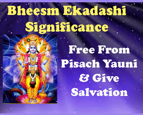 Bheeshm ekadashi significance