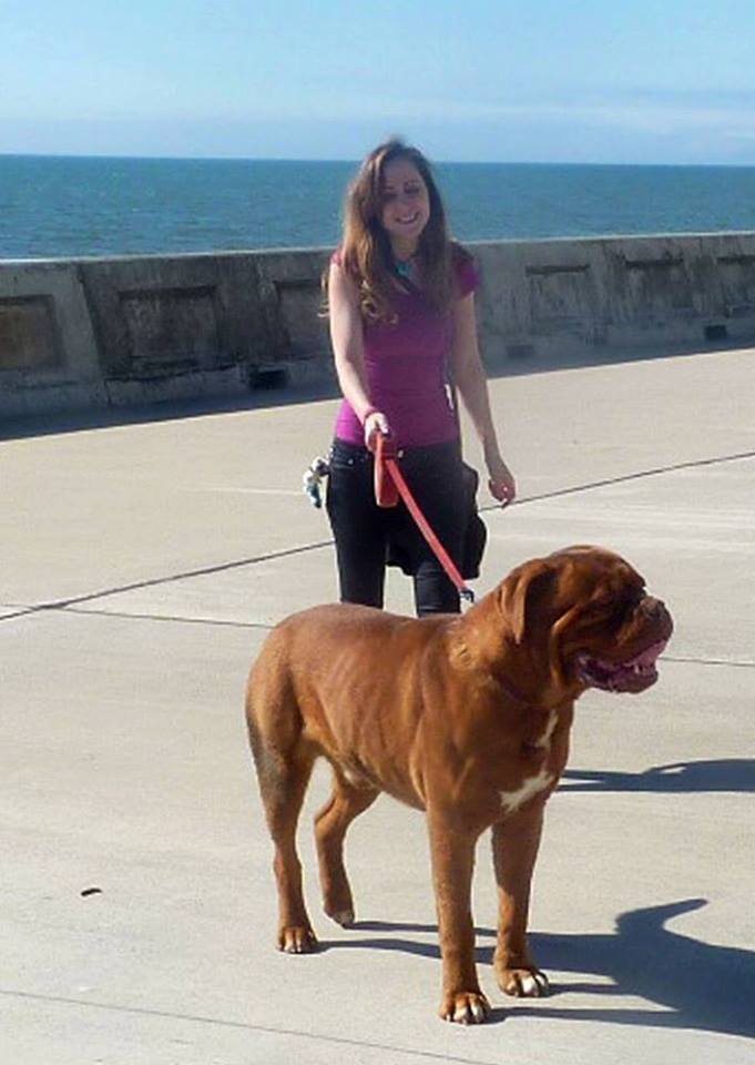 Blackpool Dog Walker Blackpool Dog Walker Laura Lee Price