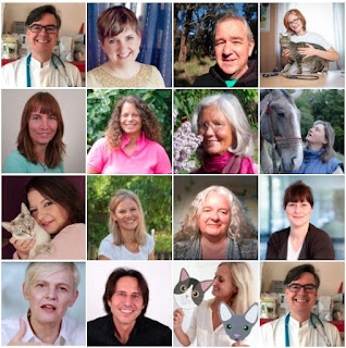 Chemiextra 9 2018 By Sigwerb Gmbh Issuu