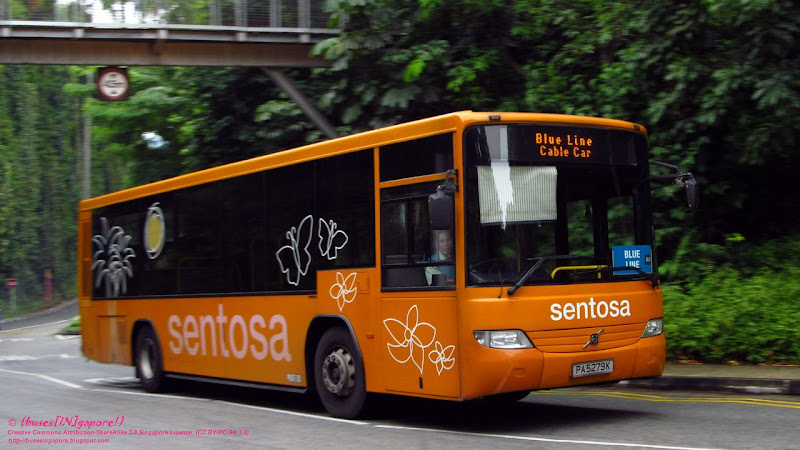 (buses[IN]gapore!): Sentosa buses' new livery!