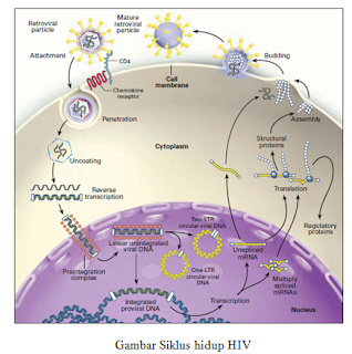 Keperawatan Sistem Reproduksi I: Kelompok 9 - SEXUAL TRANSMITED DISEASE ...