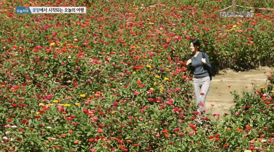 MBC 시절 김민형 아나운서 메밀 국수 먹방.GIF
