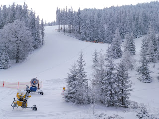 P1020840.JPG