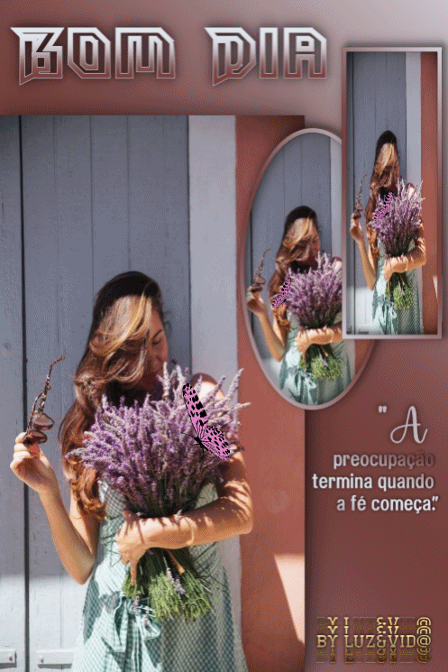 NOVO48-%2528MB%2529maryluz.gif