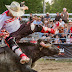 Ancaster Pro Xtreme Bull Freestyle