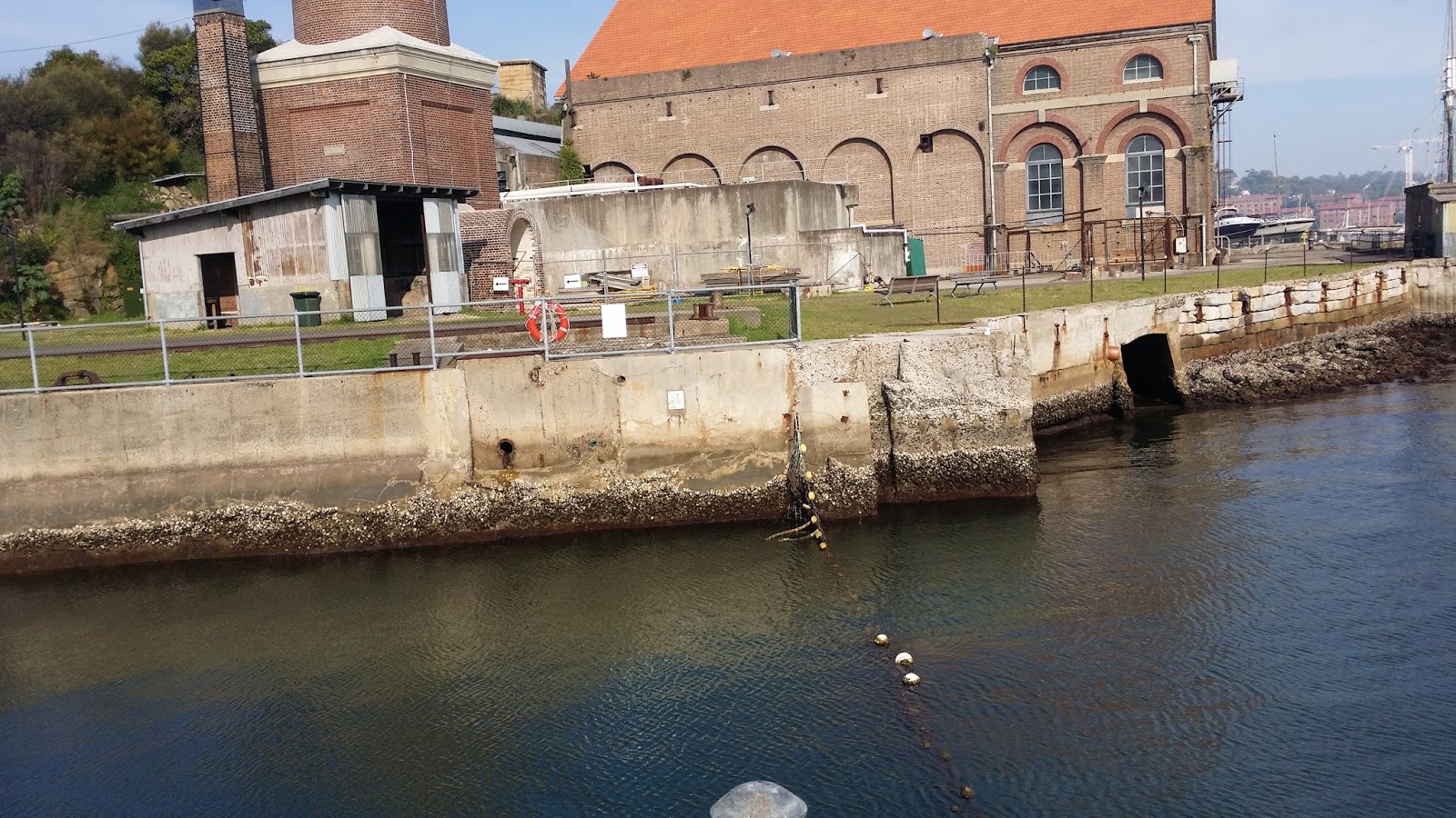 Lazy Swimmer Cockatoo Island Swimming Enclosure