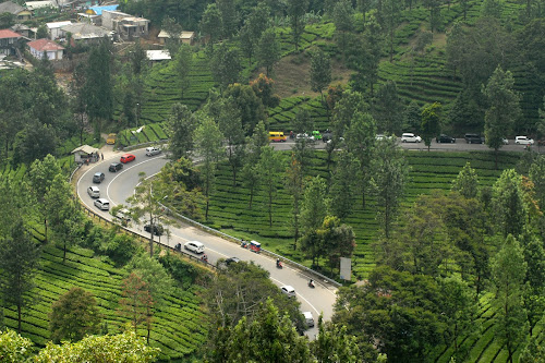 pemandangan jalur puncak kabupaten Bogor