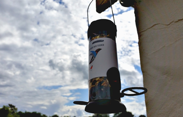 The bird feeder hung up ready for the birds to eat from it.