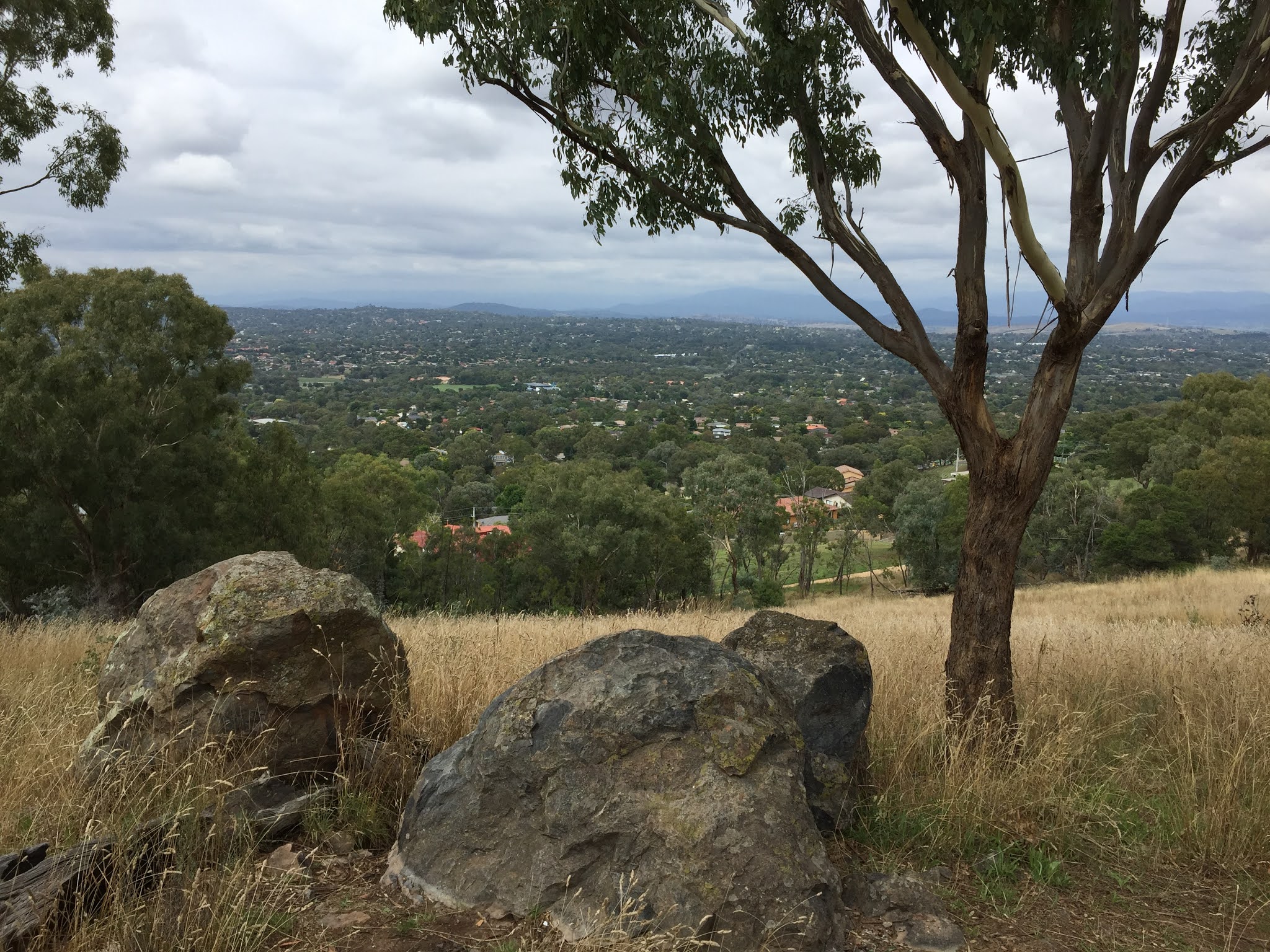 Phil's Bushwalking Blog Urban Canberra Spence, Melba and Mt Rogers