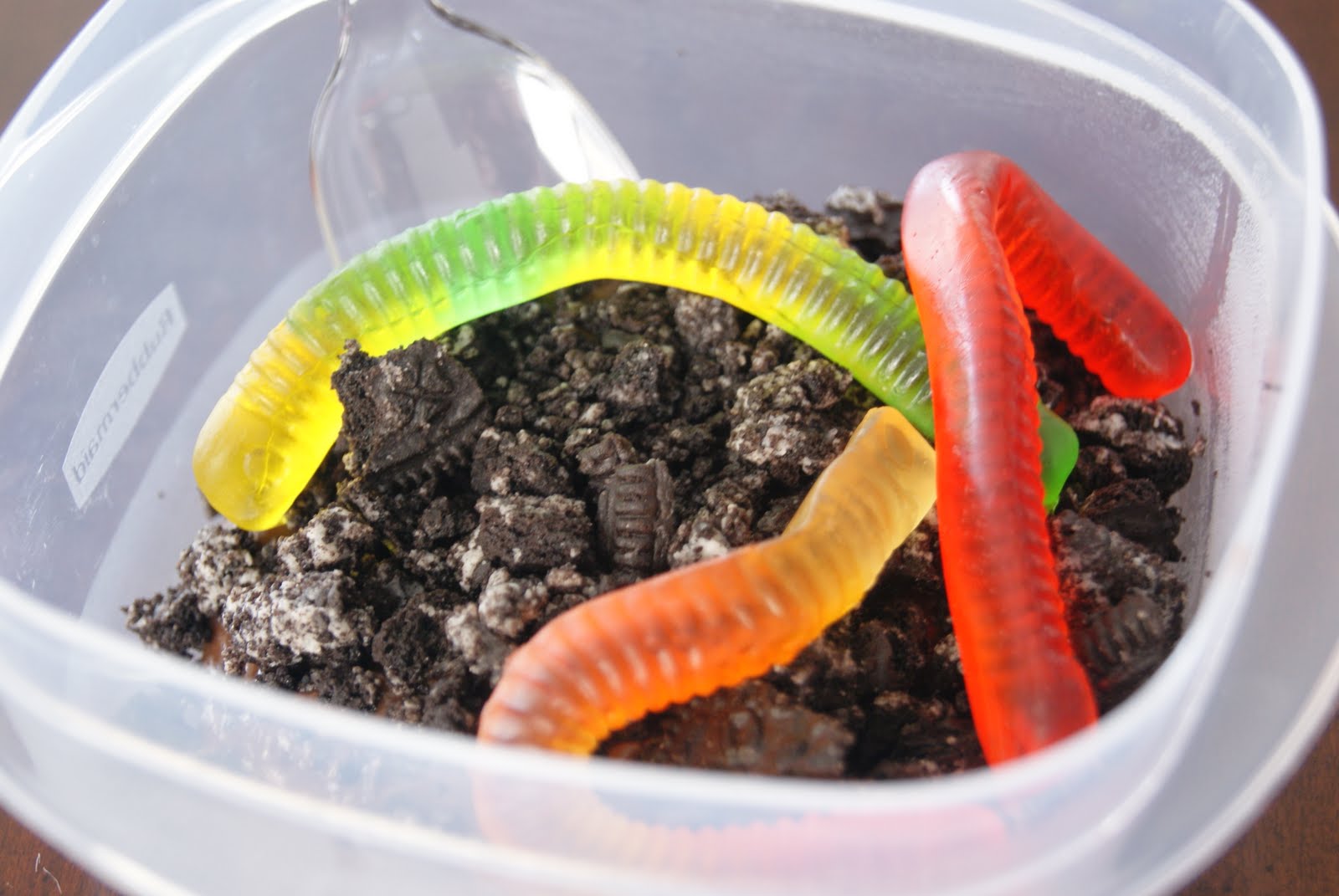 the-mcclure-family-big-b-little-b-what-begins-with-b