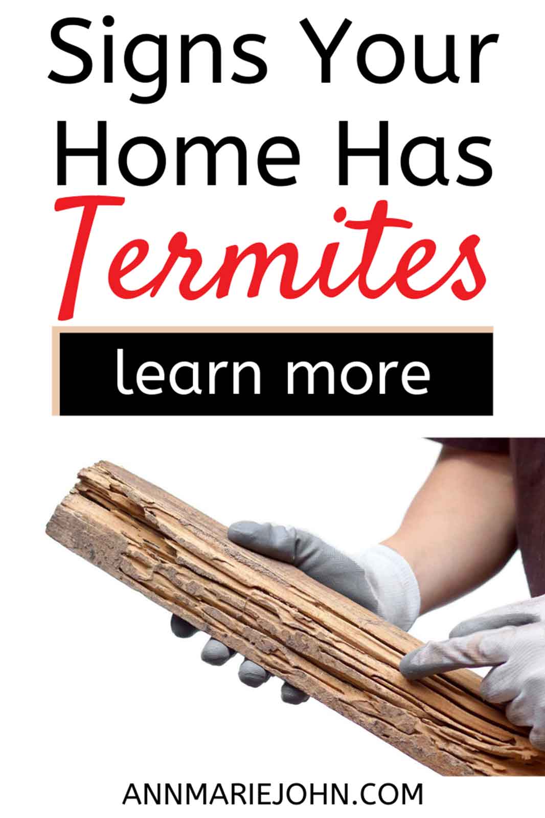 Telltale Signs That Your House Has Termites