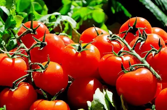 Lung Cleansing Foods for tomato