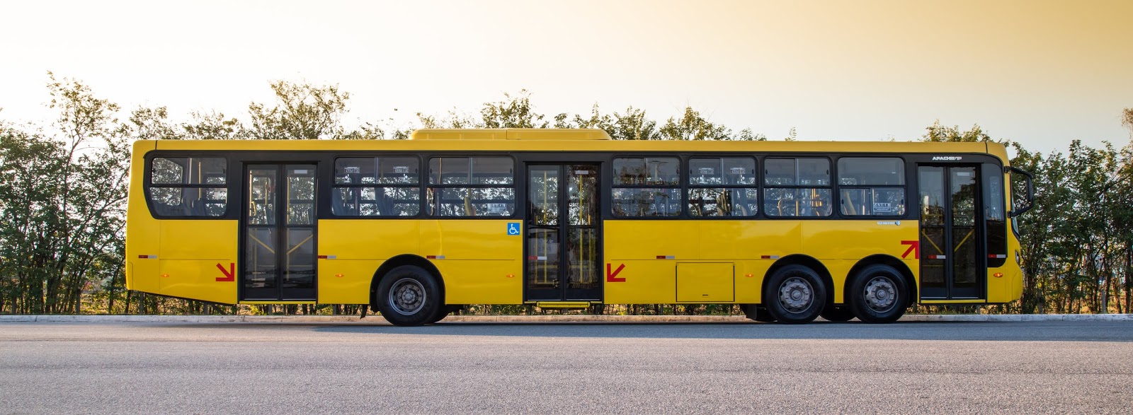 Volkswagen trucks and buses