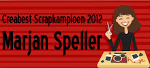 Scrapkampioen 2012