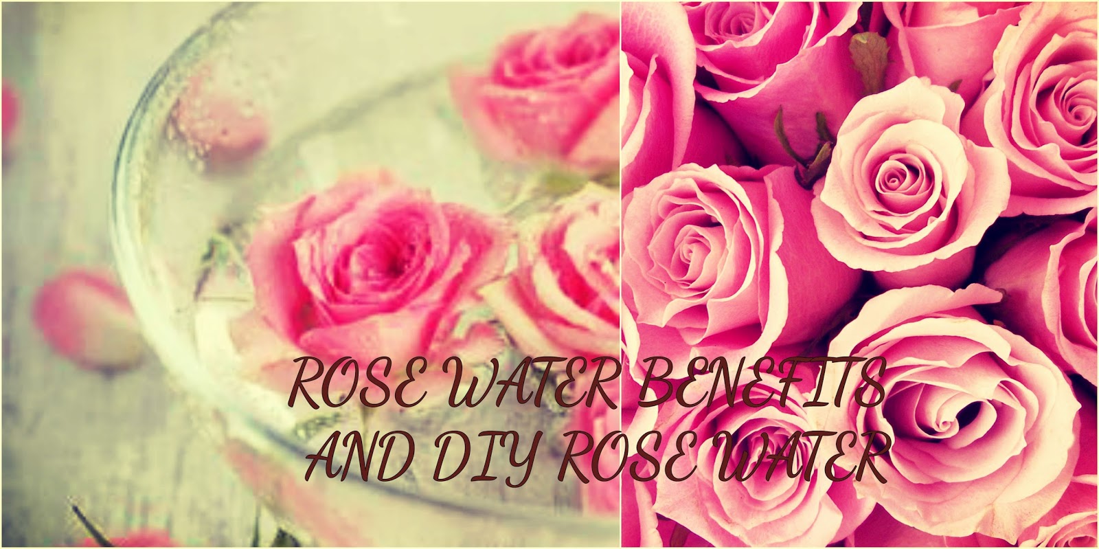 Girls republic 101 10 Benefits of rose water and how to make your own rose water.