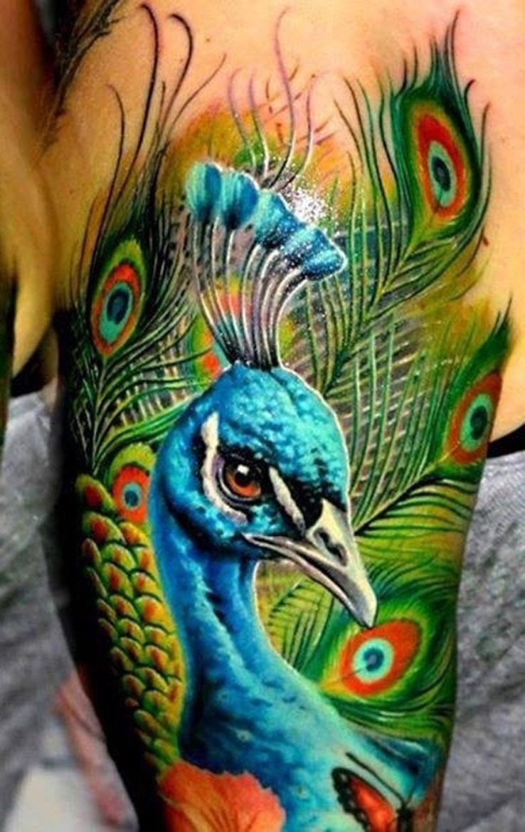 mytattooland com peacock tattoo ideas mytattooland com peacock tattoo ideas