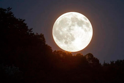 No te pierdas el primer eclipse del 2020 y la Luna llena del Lobo esta noche