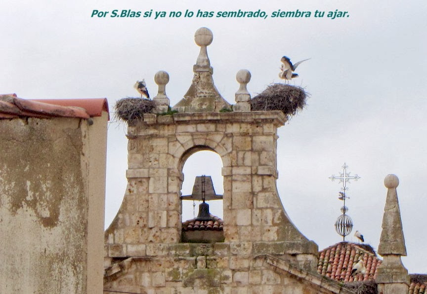 VENTANAS AL PENSAMIENTO CIGÜEÑAS por SAN BLAS (Dueñas. Palencia).
