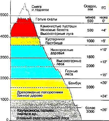 Природные зоны гор алтая таблица. Высотная поясность Тянь Шань. Высотная поясность Гималаев схема. Высотная поясность Северной Америки. Зона ВЫСОТНОЙ поясности Южной Америки таблица.