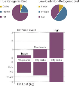 Is the Ketogenic Diet Just Another Low-Carb Diet?
