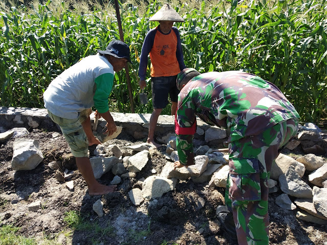 Antusias Babinsa Bersama Masyarakat  Jatibatur Saat Gotong Royong Bangun Talud Jalan
