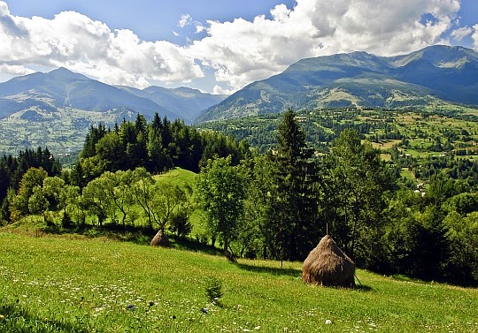 Ścisły rezerwat „Pietrosu Mare” (rum. Rezervaţia ştiinţifică „Pietrosu Mare”).