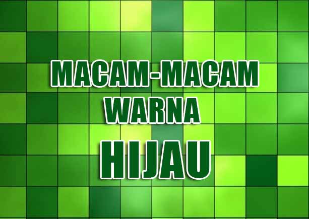 40 Macam Macam Warna Hijau Beserta Nama Dan Kodenya Grafis Media