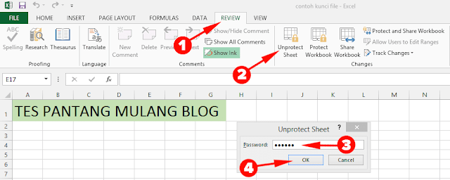 Cara Mengunci File Excel Cara Mengunci File Excel
