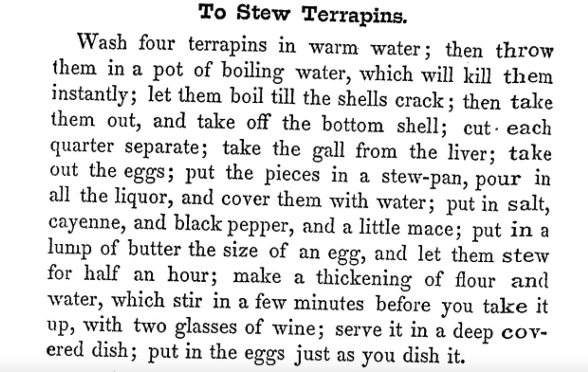 To%2BStew%2BTerrapins.Lea.Baltimore.1869.png
