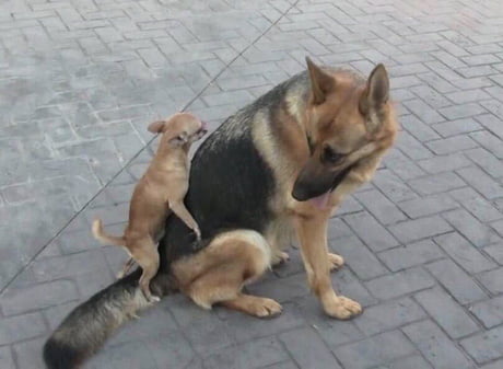 Beos Blog Beos Dachterrassen Event Zur Wm 2010