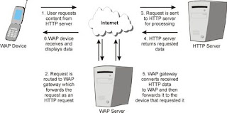 Wi-Fi - Access Protocols بروتوكولات الوصول