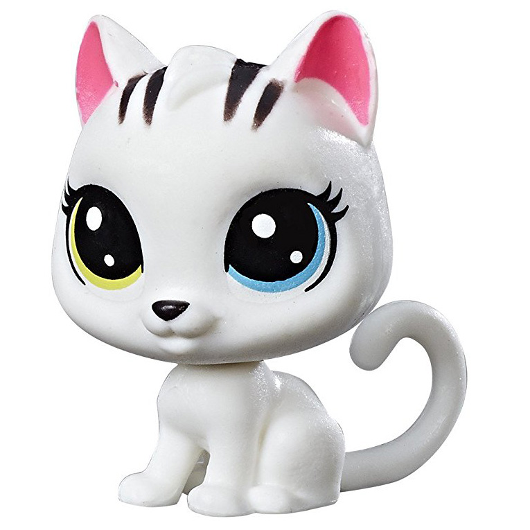 Salty S Dog And Cat Shop Salty S Dog And Cat Shop