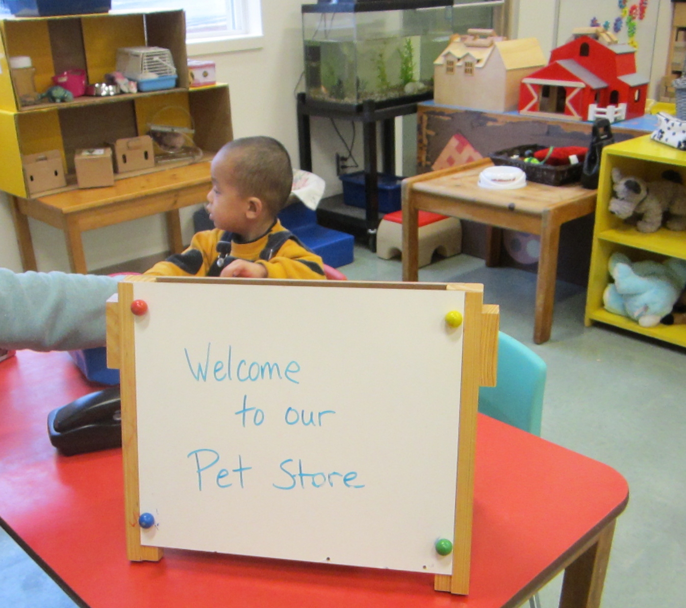 StrongStart Pet Store Dramatic Play