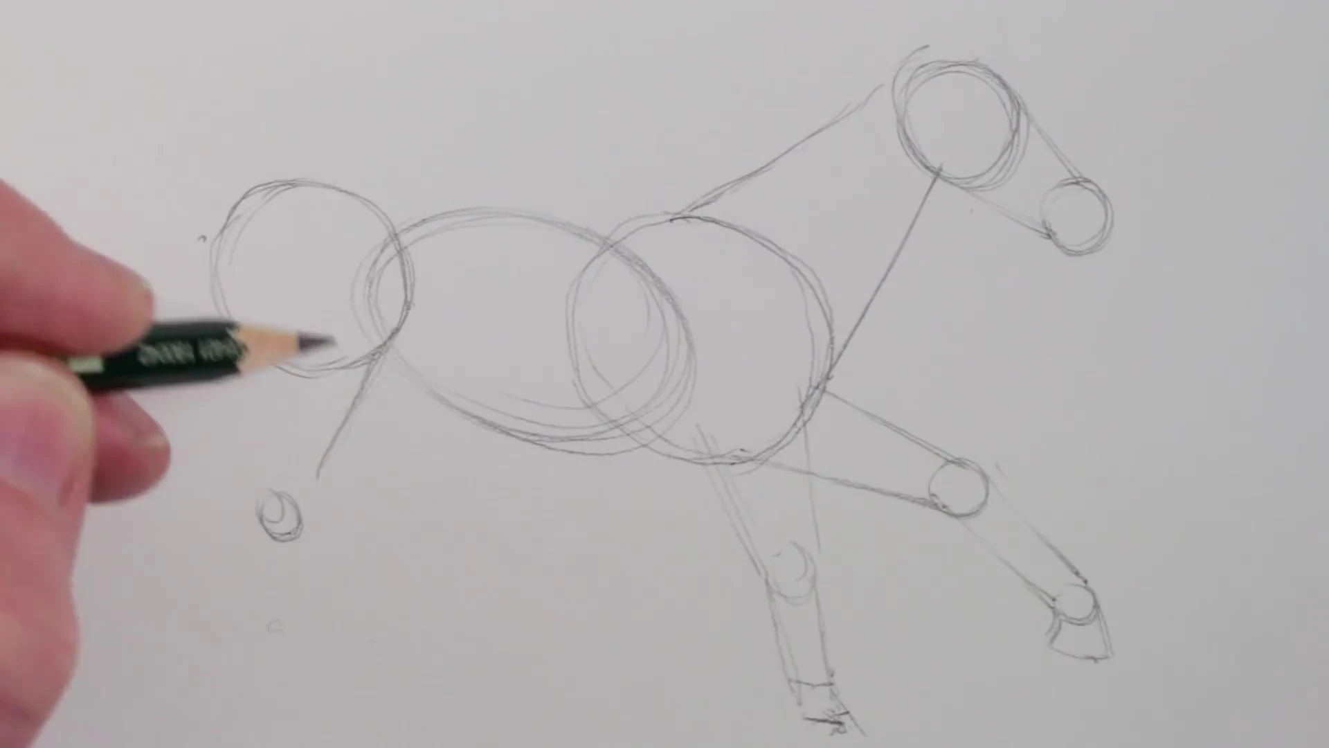 رسم حصان بالرصاص