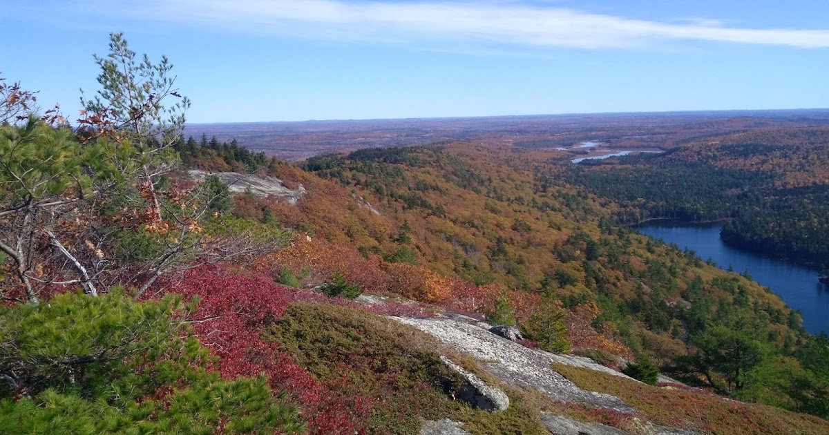 Tunk Mountain Loop Trail