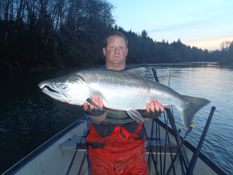 Todds Extreme Fishing Humptulips salmon