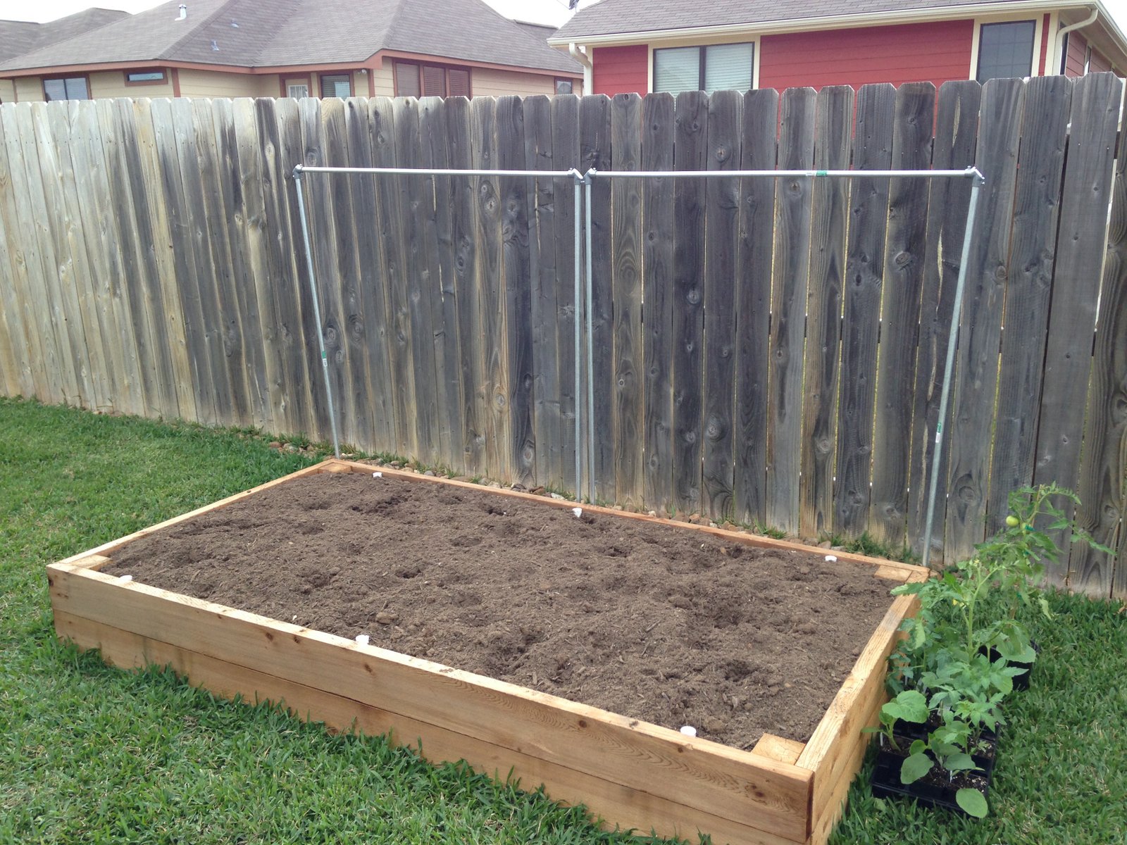 Zach, Kristen, Liam, Luke and The Zoo: Garden #2: Final construction