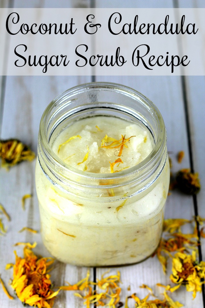 Coconut and Calendula Sugar Scrub Recipe Everything Pretty