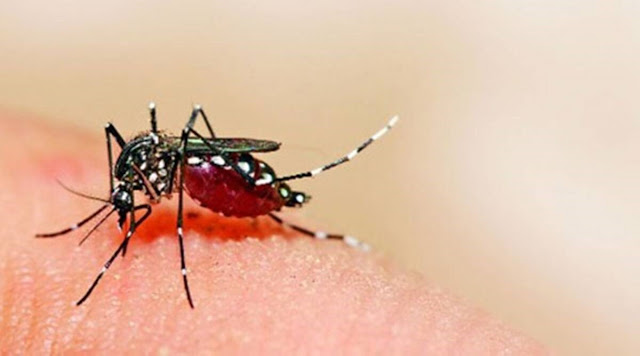 Maharashtra reports first case of Zika virus infection in 50-year-old woman from Pune district.