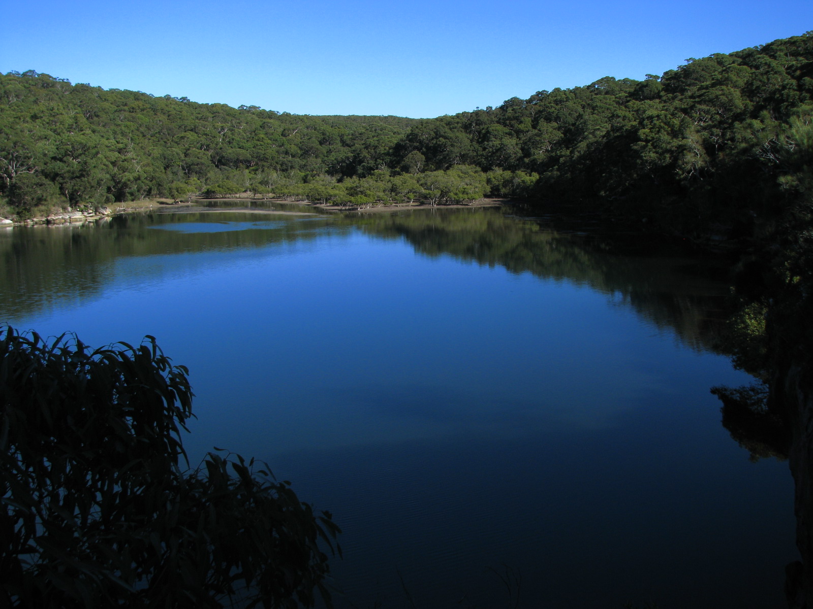 Magoo News: Cabbage Tree Basin by Paddle Board