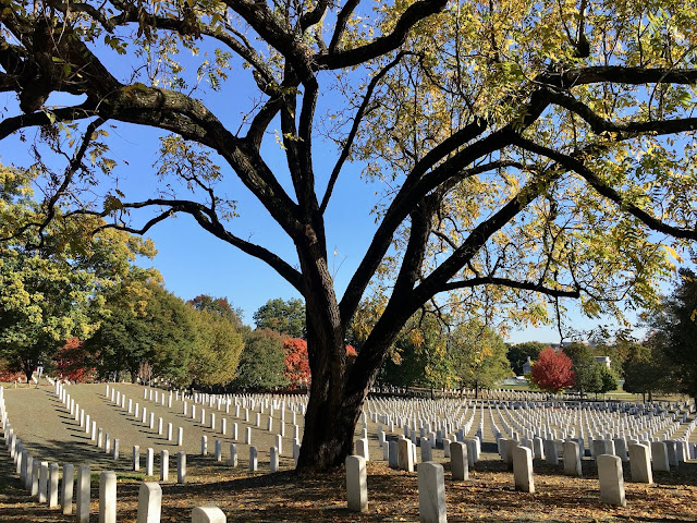 Arlington Cemetery in Virginia, part of your Washington DC visit