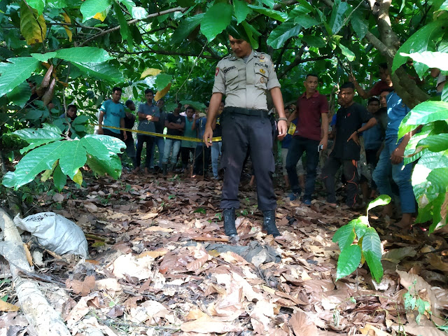 Di Aceh Timur Kerangka Manusia Ditemukan di Kebun Coklat November 4, 2019