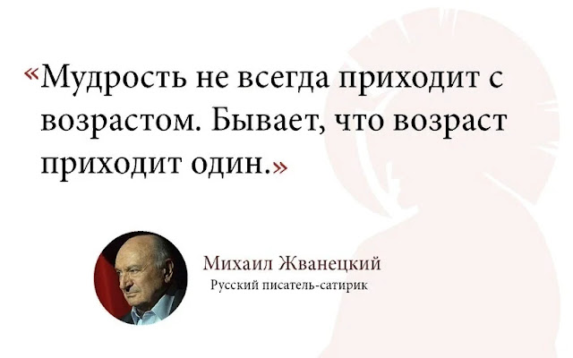 scale_1200%2B%252831%2529.webp